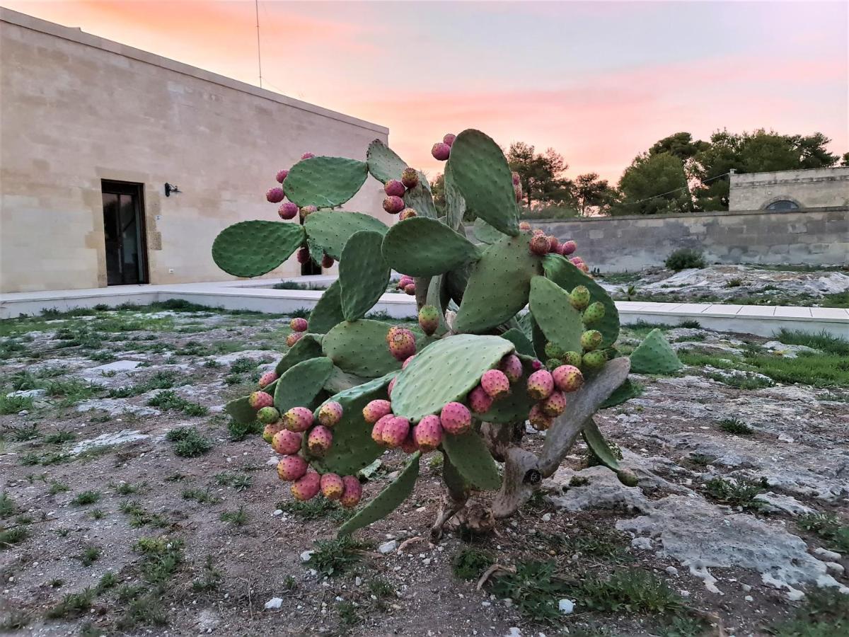 Masseria Specchiulla Отранто Екстериор снимка